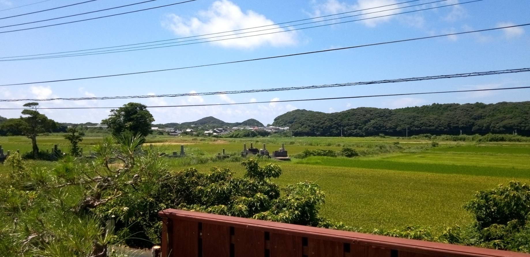 みゆきの部屋//　訪問介護ヘルパーとの心温まる交流！・・・呪文で運気アップ・・Sospites vos esse cupio.皆様の応援に感謝を込めて夏バテになりません様に！